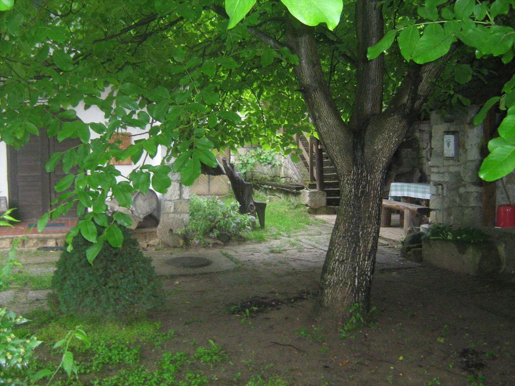 Myrtus Pince Es Vendeghaz Hotell Tarcal Exteriör bild